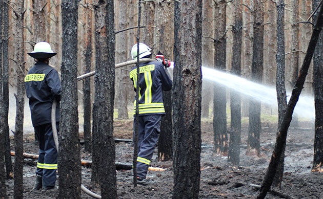 Bekämpfung von Waldbränden